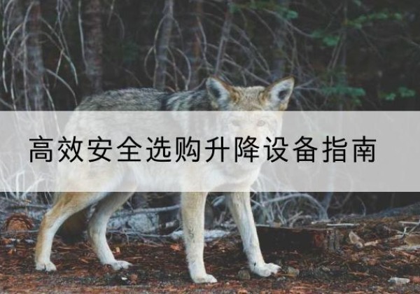 科尔沁升降货梯厂家推荐-*安全选购升降设备指南