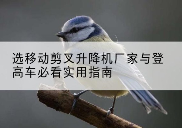 科尔沁电动升降机厂家-选移动剪叉升降机厂家与登高车必看实用指南